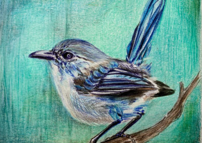 Bluebird