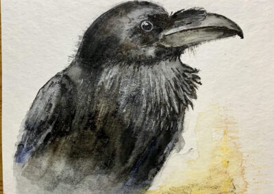 Covus Corax